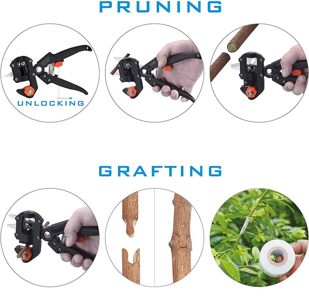 91ZonWE-QlL._AC_SL1500_