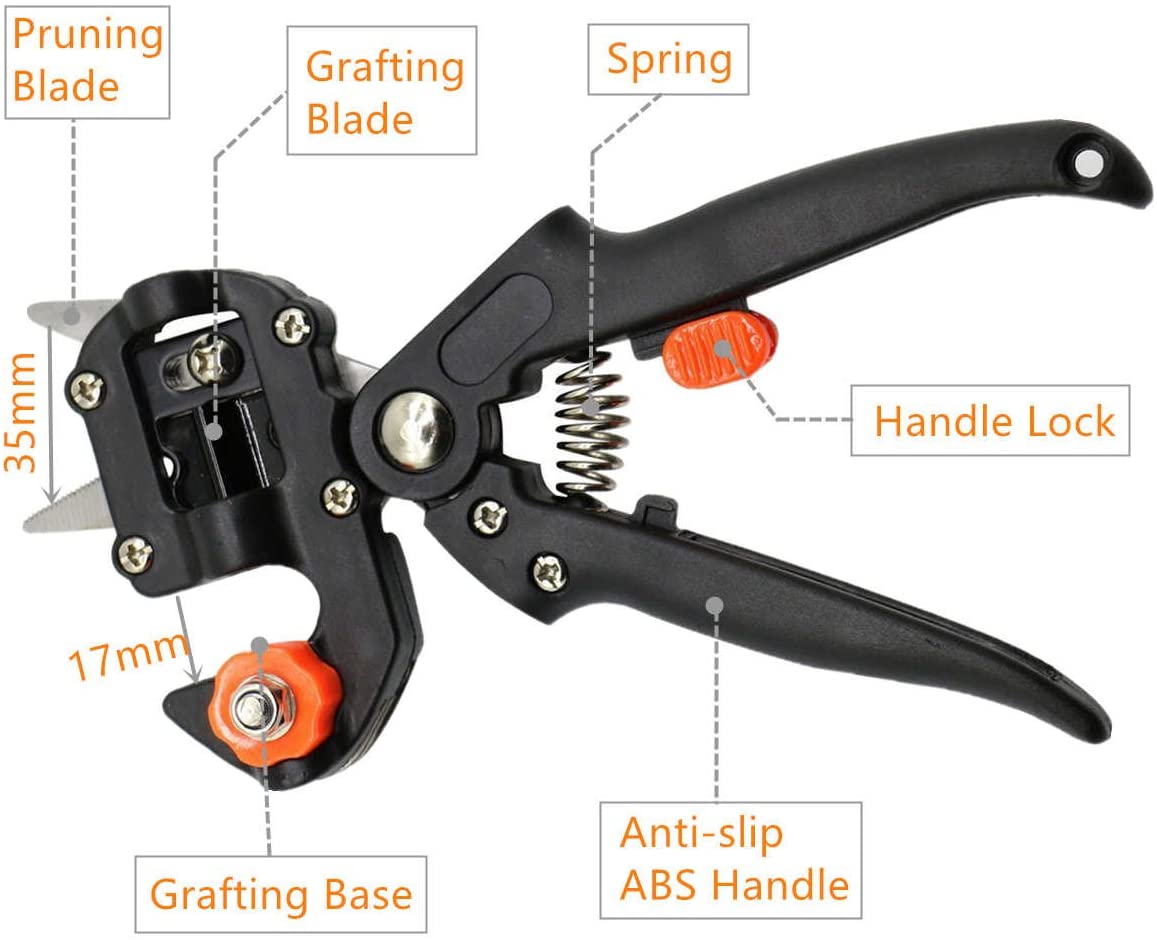 61OP7BwhCSL._AC_SL1201_