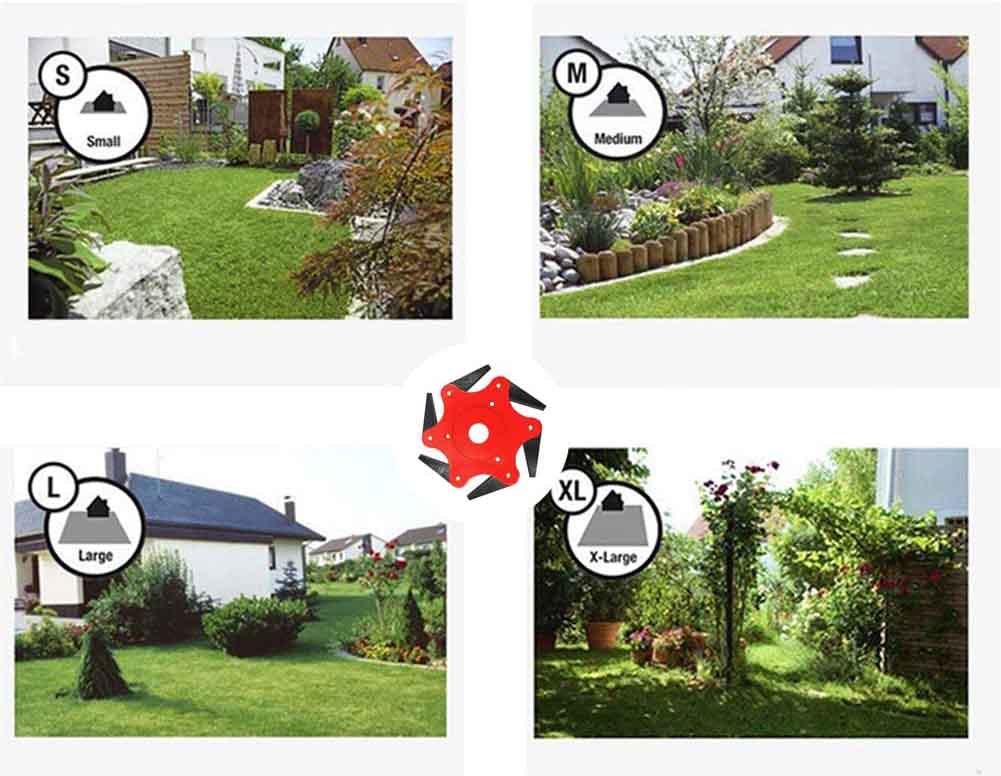 71E1jqrRljL._AC_SL1001_