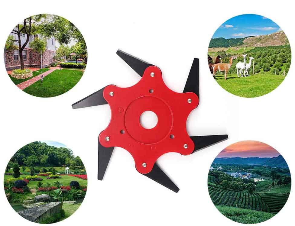 61uQM5mN5KL._AC_SL1001_